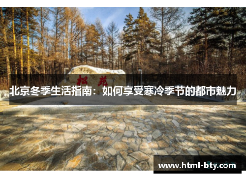 北京冬季生活指南：如何享受寒冷季节的都市魅力