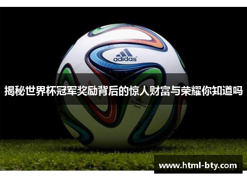 揭秘世界杯冠军奖励背后的惊人财富与荣耀你知道吗