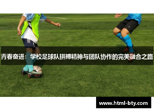 青春奋进：学校足球队拼搏精神与团队协作的完美融合之路