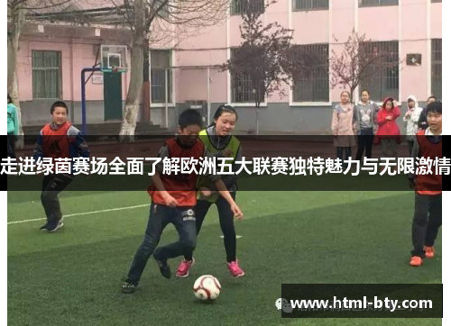 走进绿茵赛场全面了解欧洲五大联赛独特魅力与无限激情 走进绿茵赛场全面了解欧洲五大联赛独特魅力与无限激情