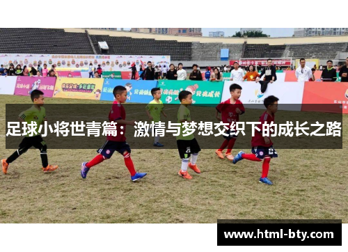 足球小将世青篇：激情与梦想交织下的成长之路