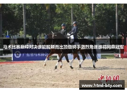 马术比赛巅峰对决谁能脱颖而出顶级骑手激烈角逐谁将问鼎冠军